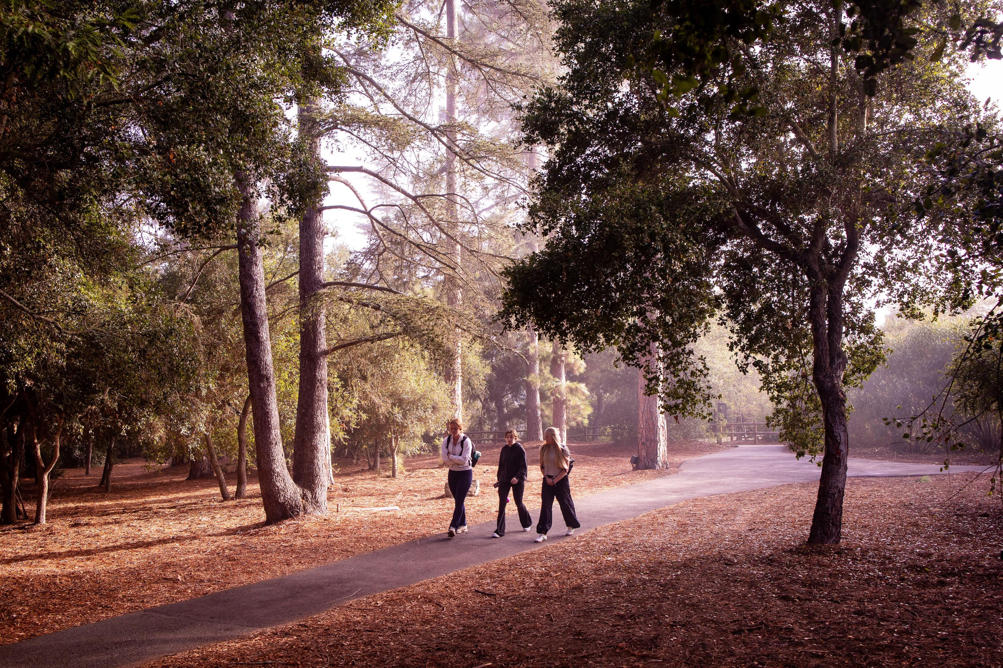 three female students walking through wooded forest on westmont campus